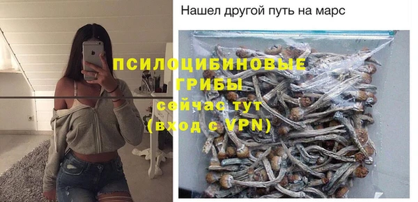 MESCALINE Алзамай