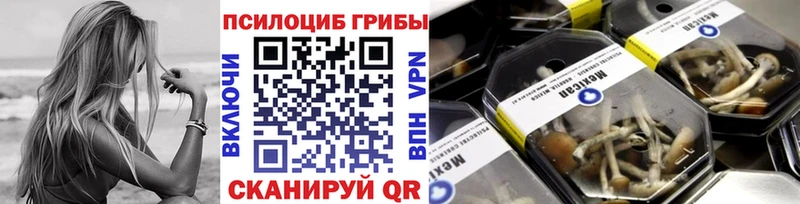 Галлюциногенные грибы Magic Shrooms  наркота  Луза 